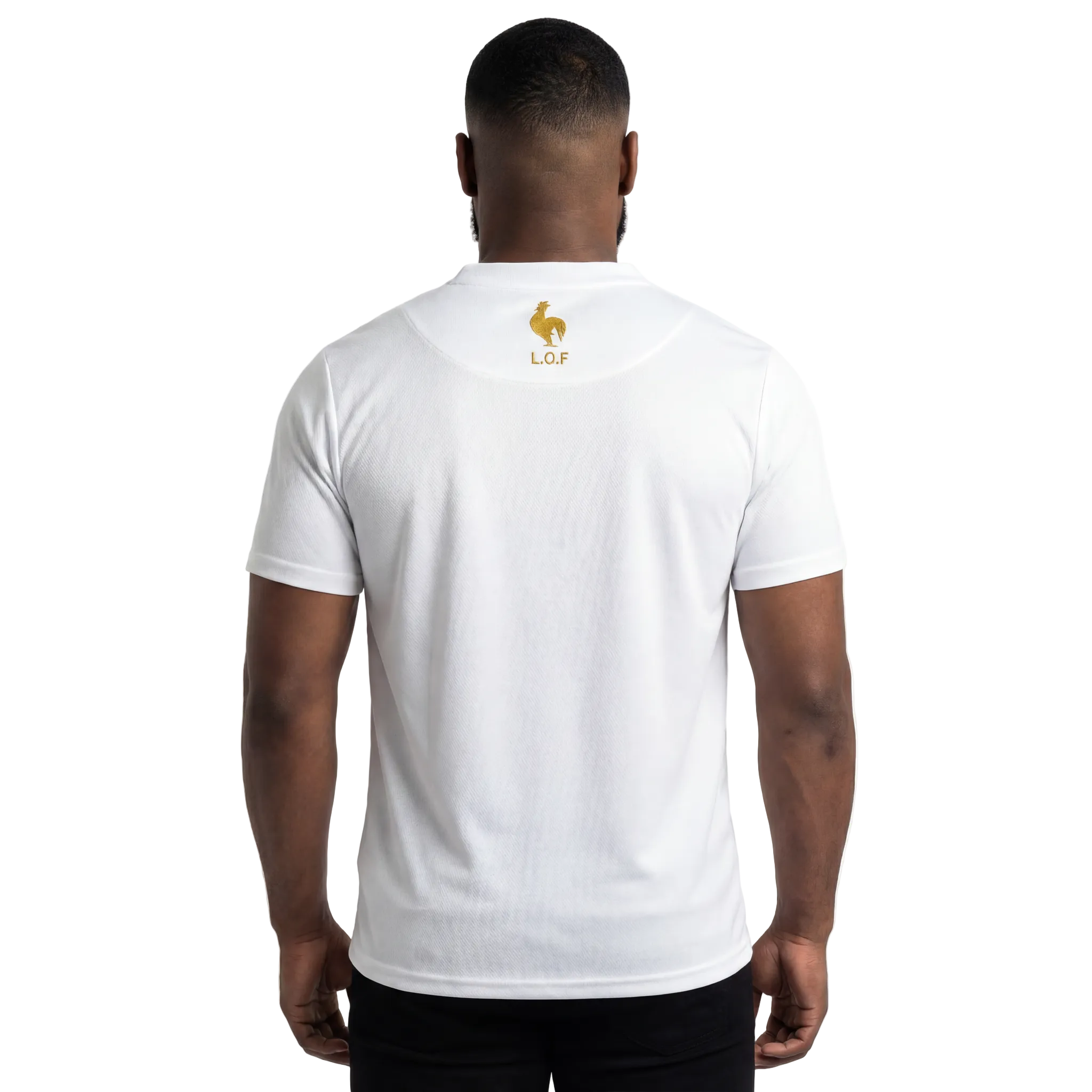 MAILLOT LANBISYON ORIGINAL FR-2