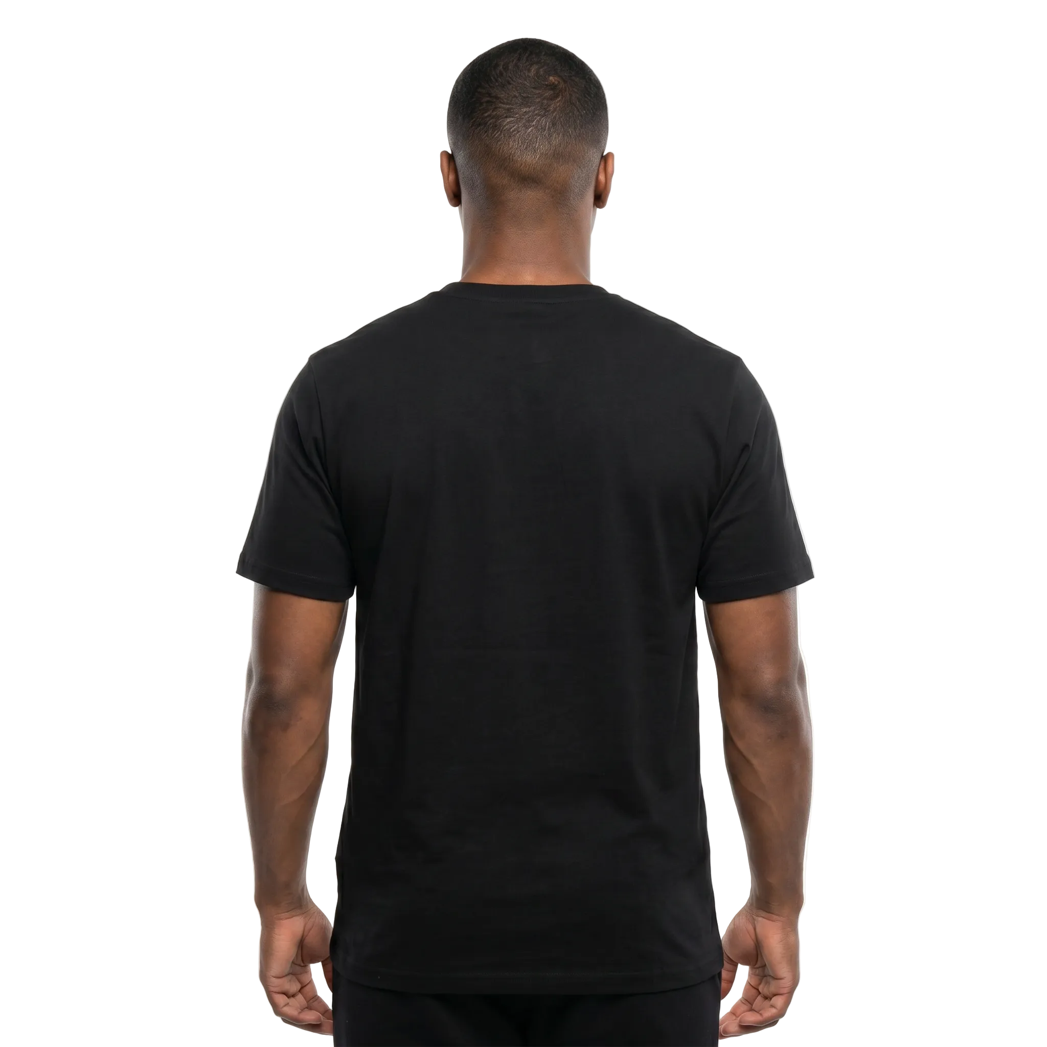 T-SHIRT LANBISYON MAESTRO-2