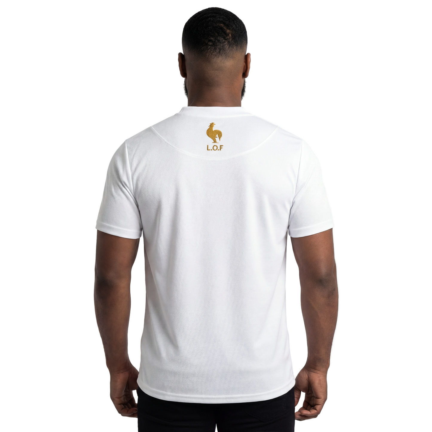 MAILLOT LANBISYON ORIGINAL FR