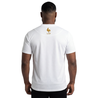 MAILLOT LANBISYON ORIGINAL FR